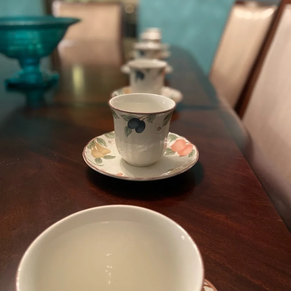 Mikasa Country Classics Cup and Saucer Tea/Coffee Fruit Panorama Set of 6